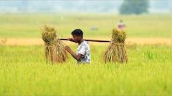 Weak start to monsoon seen clouding Kharif season outlook: Report