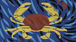 Horoscope, June 26, 2026: Cancer, your emotions feel especially intense today