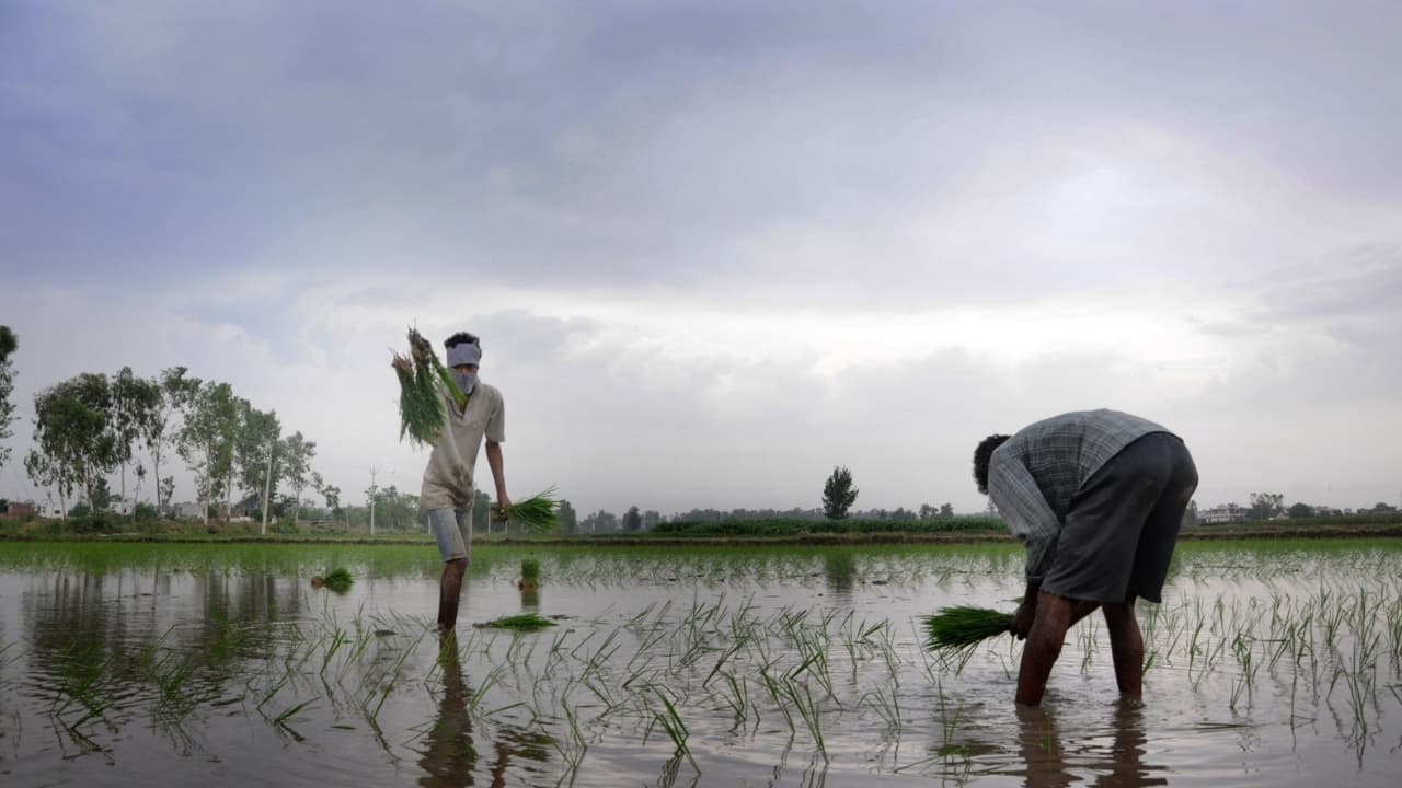 El Niño weakens Monsoon, government deploys an early tactical shield rolls out special kharif plan for 315 districts