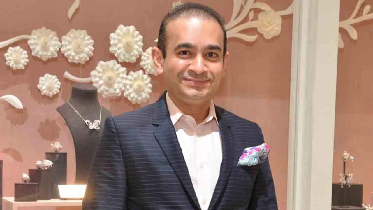 Setback for Nirav Modi; London Court orders diamond merchant to pay Rs 100 cr to Bank of India in loan recovery case