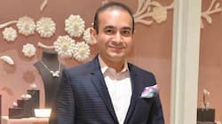 UK court orders Nirav Modi to pay Rs 100 crore to Bank of India