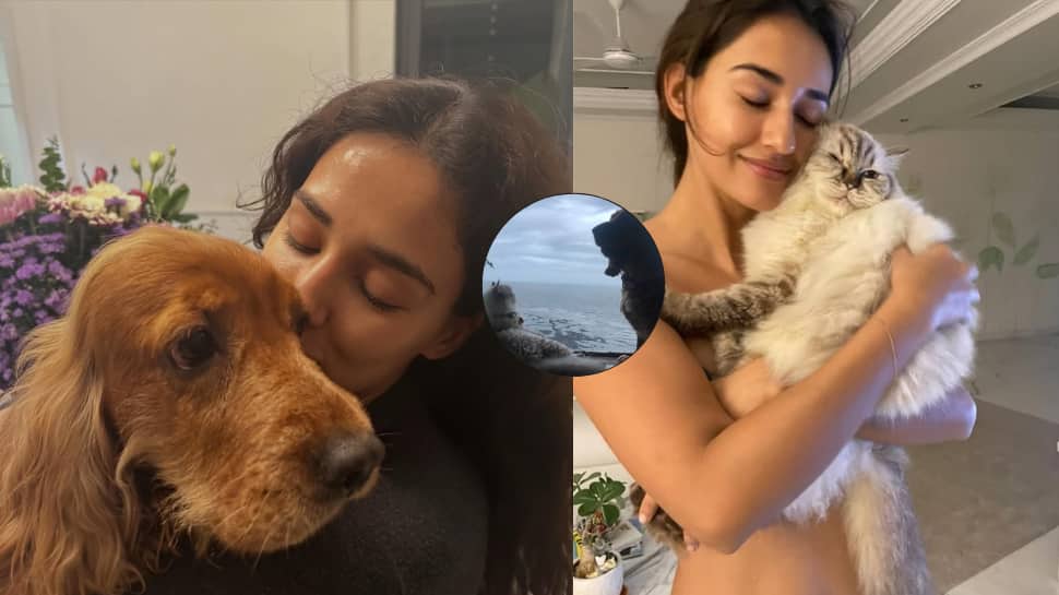 'You taught me what love is': Disha Patani mourns loss of beloved pets Bella and Jasmine in emotional posts