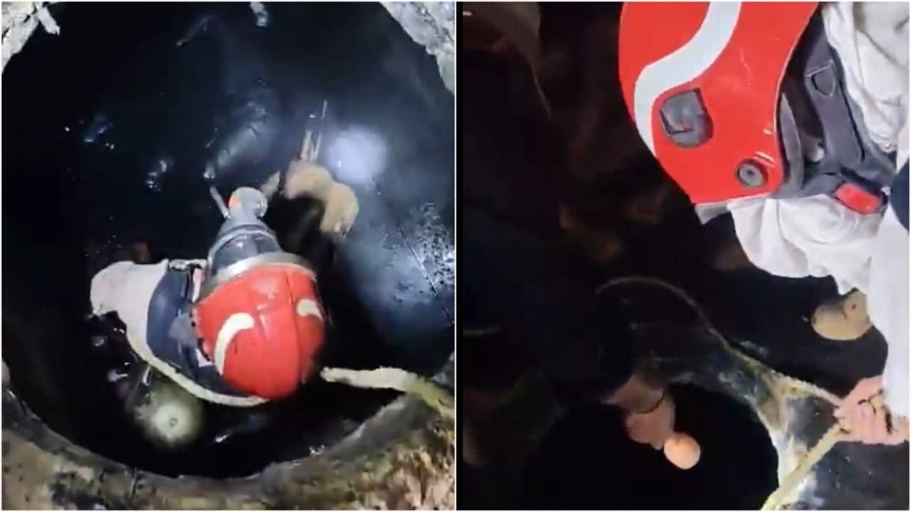 Mundka septic tank accident: 3 labourers die after inhaling toxic fumes; Delhi Police launch investigation