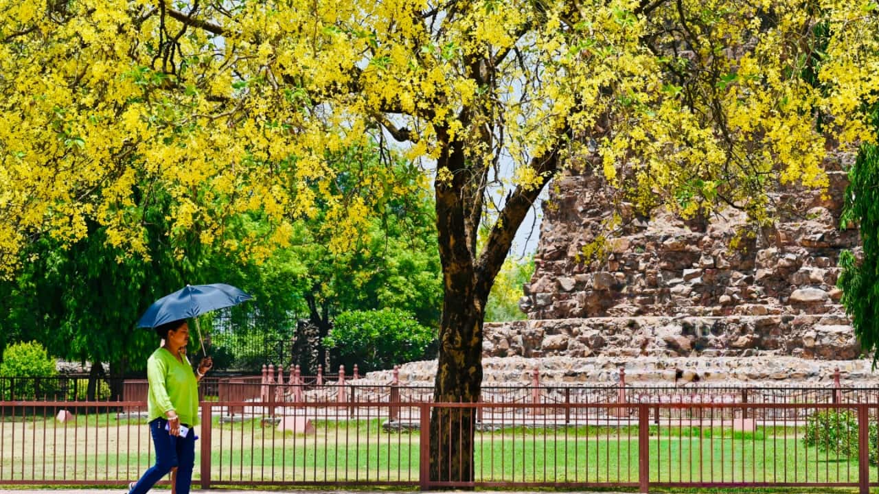 Delhi Weather Update: City bakes at 41°C as `feels like` temperature may touch 48°C; rain likely from Tuesday
