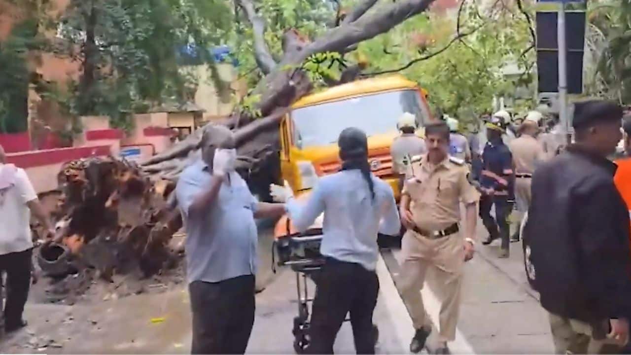 11-year-old student dies after tree falls on school bus in Mumbai`s Chembur; four others injured