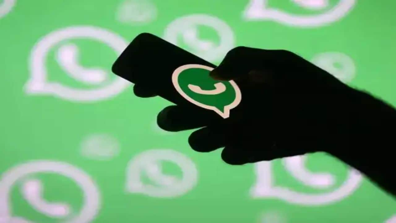 WhatsApp username feature explained: How users can chat without sharing phone numbers