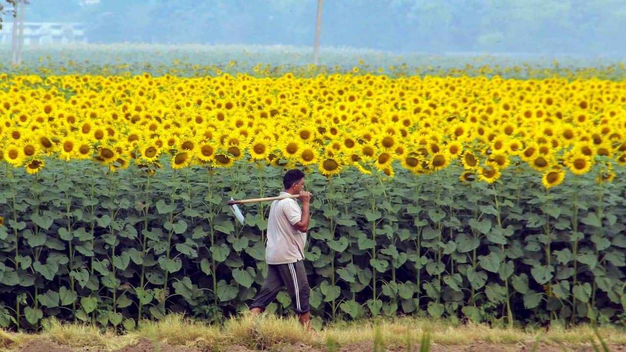 Centre launches VB-G RAM G Act, increasing rural employment guarantee to 125 days