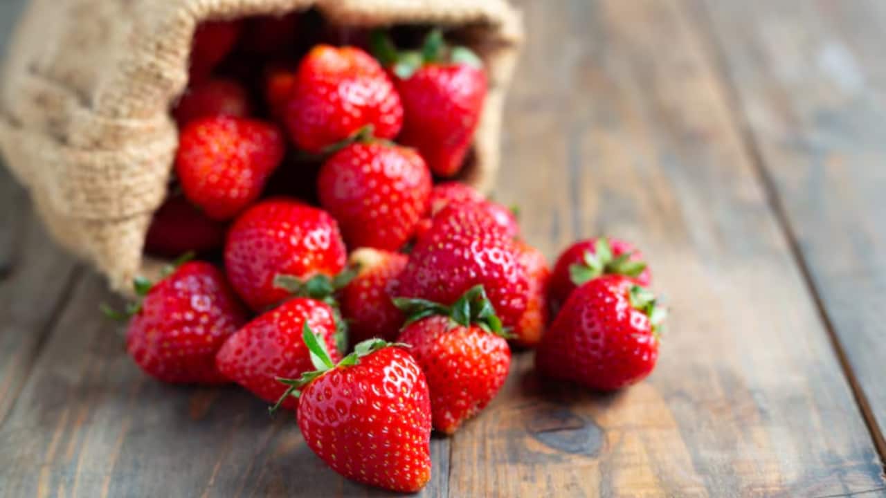Which Indian city is known as `Strawberry Capital of India`?