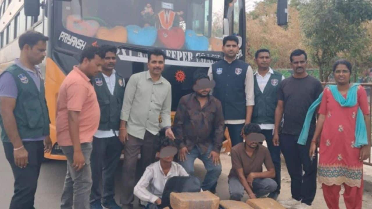41 kg ganja worth Rs 20 lakh seized from Odisha bus in Hyderabad, 3 held