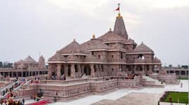 Ram temple donation theft case: Syndicate Bank link surfaces; trust changes counting rules and control room team