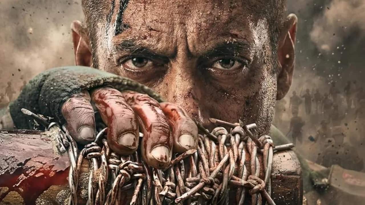 Salman Khan's Maatrubhumi delayed again? Film to reportedly release in 2027