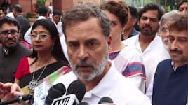 CJP protest: Rahul Gandhi says examination system 'hollowed out by termites'