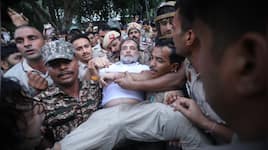 Delhi Police detain Rahul Gandhi, Priyanka Gandhi, along with other leaders, protesting at Lok Kalyan Marg