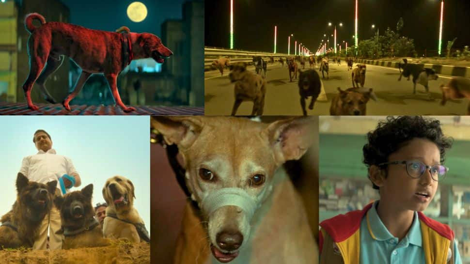Ohh My Dog trailer out: Pankaj Tripathi joins brave canine to expose shocking racket