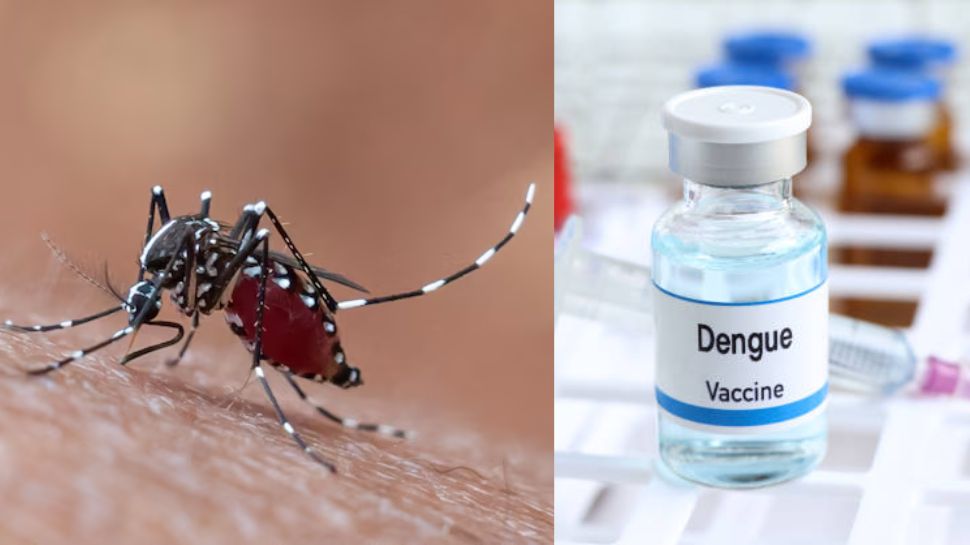 India approves first dengue vaccine Qdenga: Who can get it, dosage and key details explained | Health News India approves first dengue vaccine Qdenga: Who can get it, dosage and key details explained | Health News