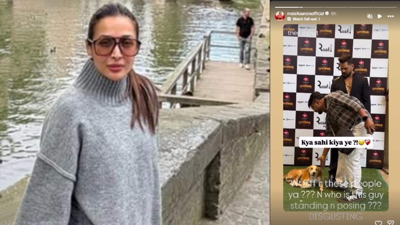 Malaika Arora slams 'disgusting' treatment of stray dog in viral Khesari Lal Yadav video