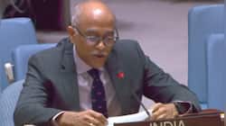 India questions OIC's role after Kashmir remarks at UN Security Council