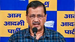 'AAP to organise national town hall against E20 in Delhi on 1 Aug': Kejriwal
