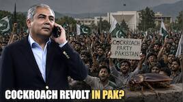 pakistan-interior-minister-mohsin-naqvi-says-system-has-failed-warns-of-cockroach-youth-uprising