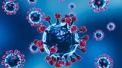 What is Chandipura virus? How it spreads, symptoms, risks, and prevention tips