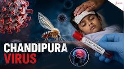 Chandipura virus: Symptoms and why WHO says early action can save lives