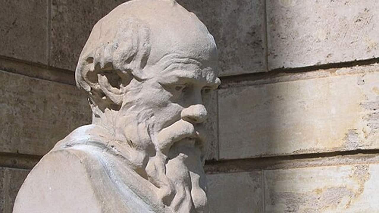 Quote of the day by Socrates: 'There is only one good, knowledge...'