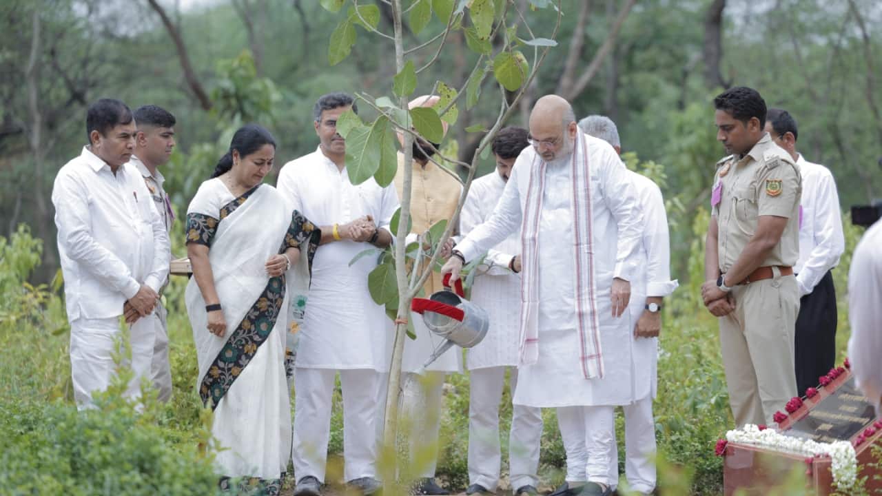 `Ek Ped Maa Ke Naam`: Delhi`s plantation drive gains momentum, achieves 54% of the 70-lakh target