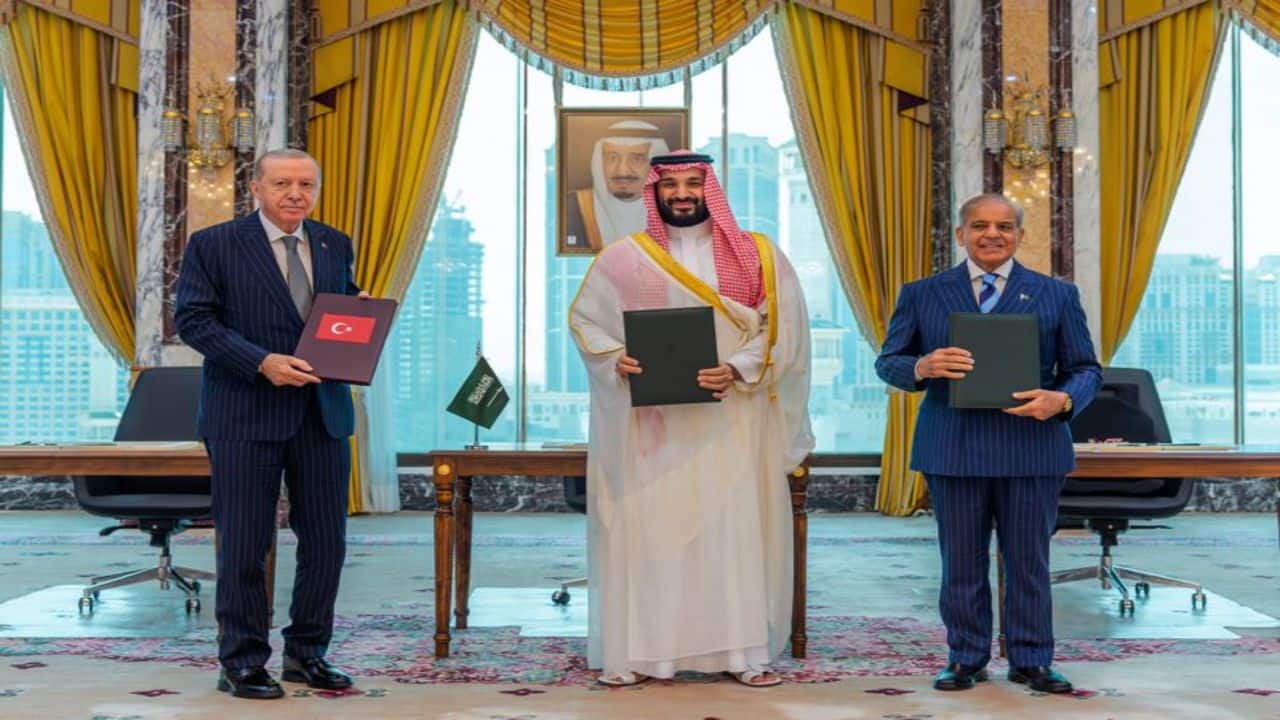 Why did Egypt reject Saudi-Turkey-Pakistan defence pact? India factor explained