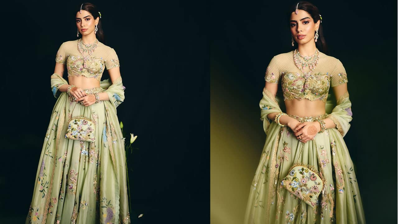 Delhi HC orders takedown of obscene content, unauthorised merchandise featuring Khushi Kapoor