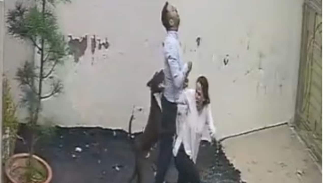 Couple attacked by Pitbull while viewing rental home in Punjab’s Patiala, CCTV video emerges