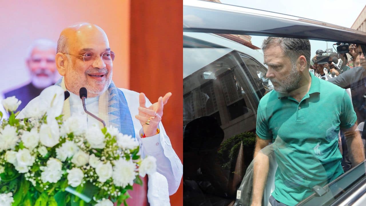 Lok Sabha seeks Rahul Gandhi's reply by Aug 28 over privilege notices