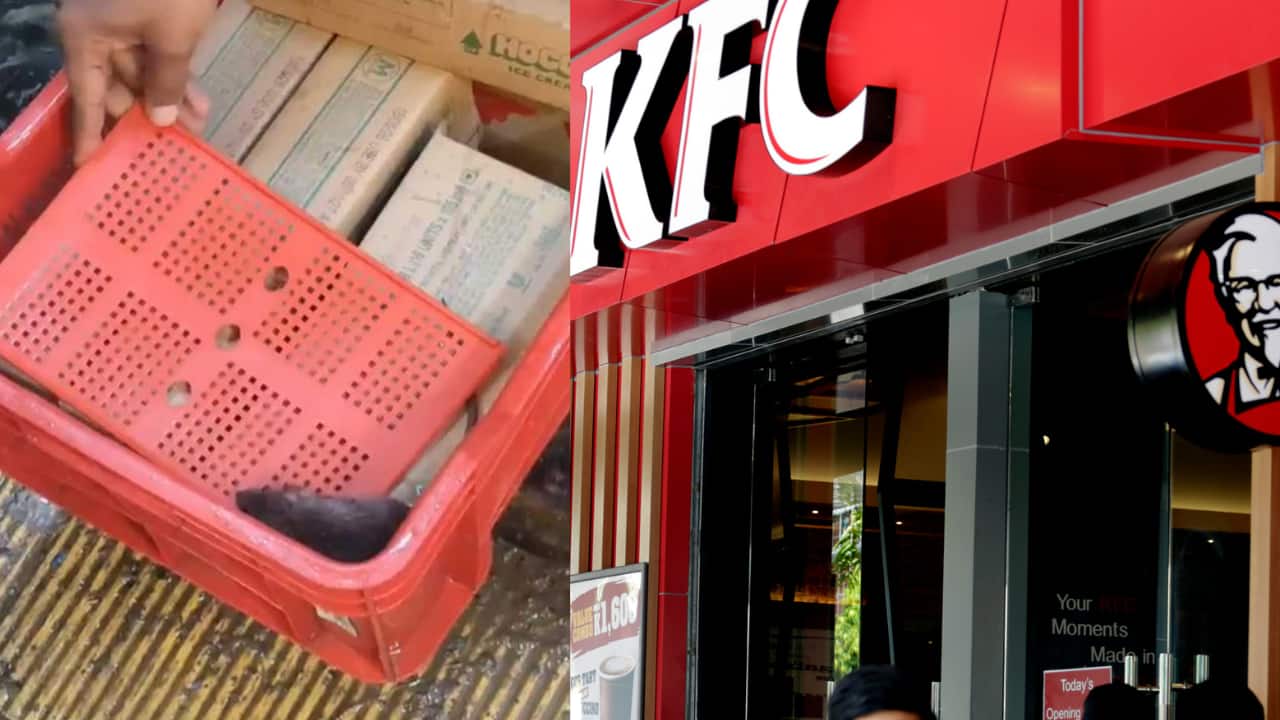 Rats in ice cream, rotten meat in KFC: Major food safety alarm across Maharashtra, Karnataka