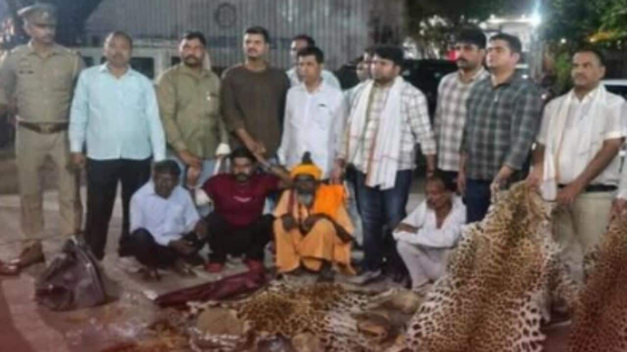 Ten leopard skins seized in UP, Delhi-based wildlife NGO accused of poacher nexus