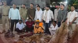 Ten leopard skins seized in UP, Delhi wildlife NGO accused of poacher nexus