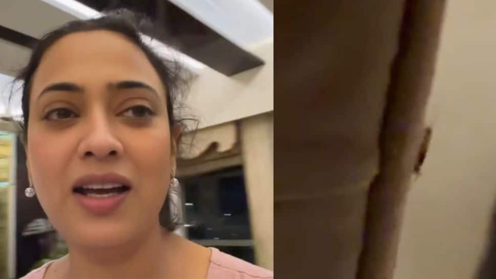 Shweta Tiwari finds cockroach at home after cold drink delivery, tags Maharashtra FDA chief Tukaram Munde