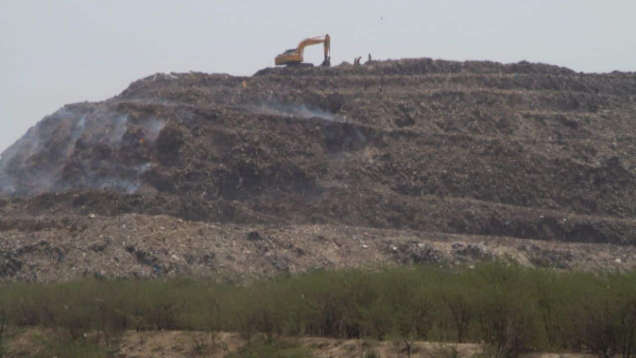 India produces waste equal to 37,000 elephants every day: What does this garbage go and what happens to it?