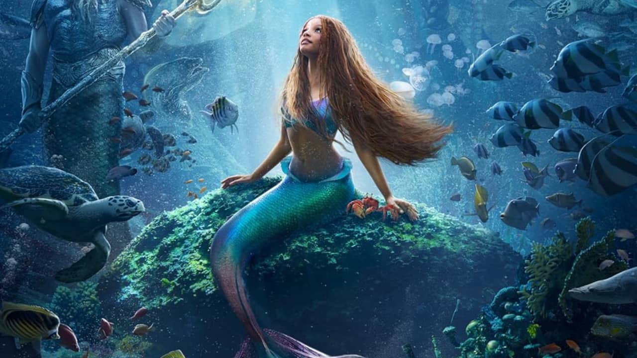 Dialogue of the day from The Little Mermaid, 'Life's full of tough...'