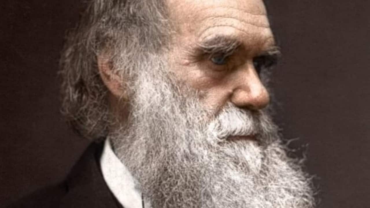 Darwin's Quote: Adaptability Key to Survival