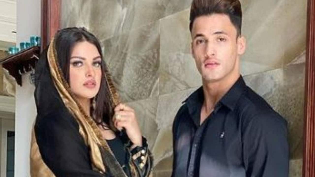 Himanshi Khurana vs Asim Riaz: After Bigg Boss 13 finalist slams conversion claims, actress says 'have suffered violence'