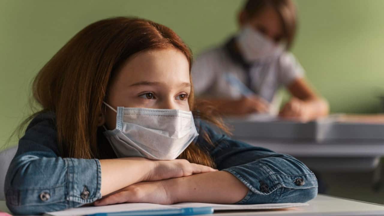 Swine flu, dengue cases spike in Noida, schools on alert; parents advised to keep sick children home
