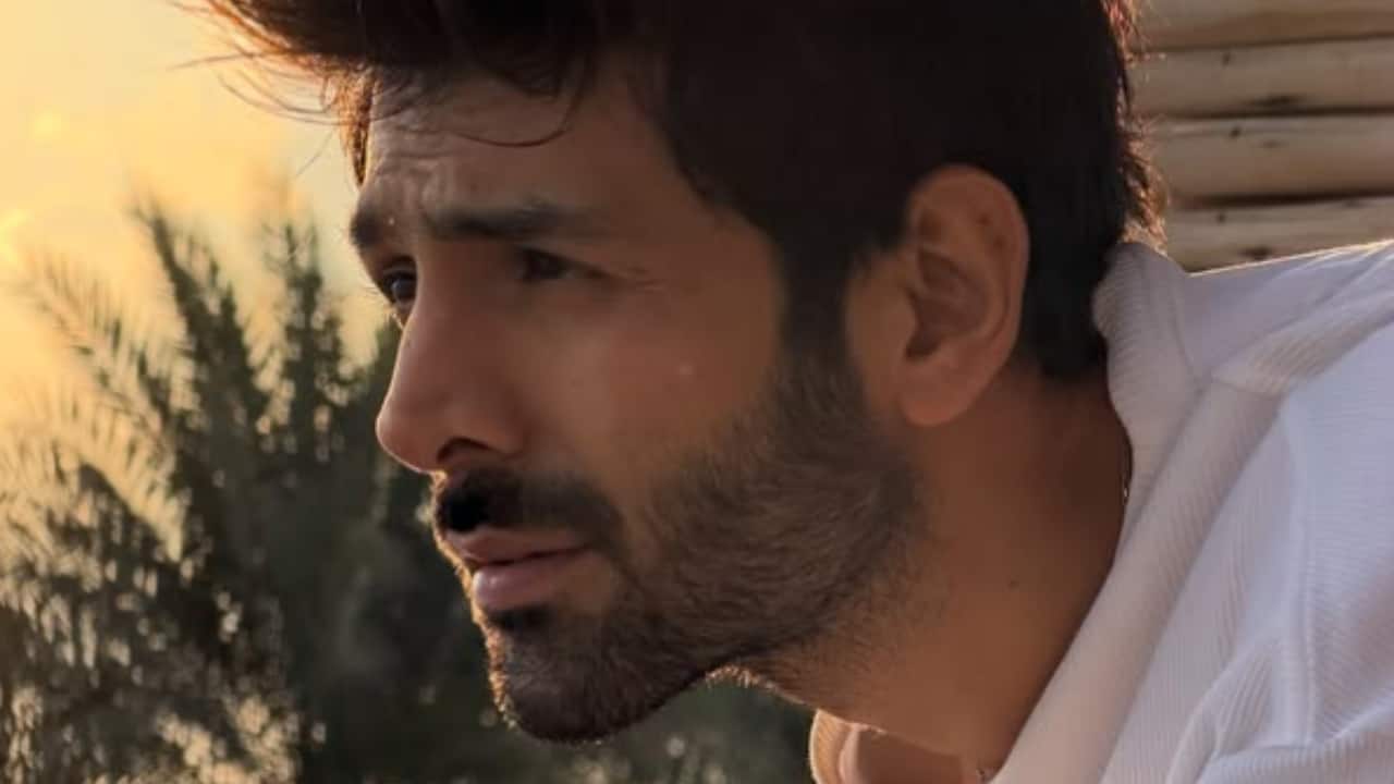 Quote of the day by Kartik Aaryan, 'If there is hard work and self-belief...'