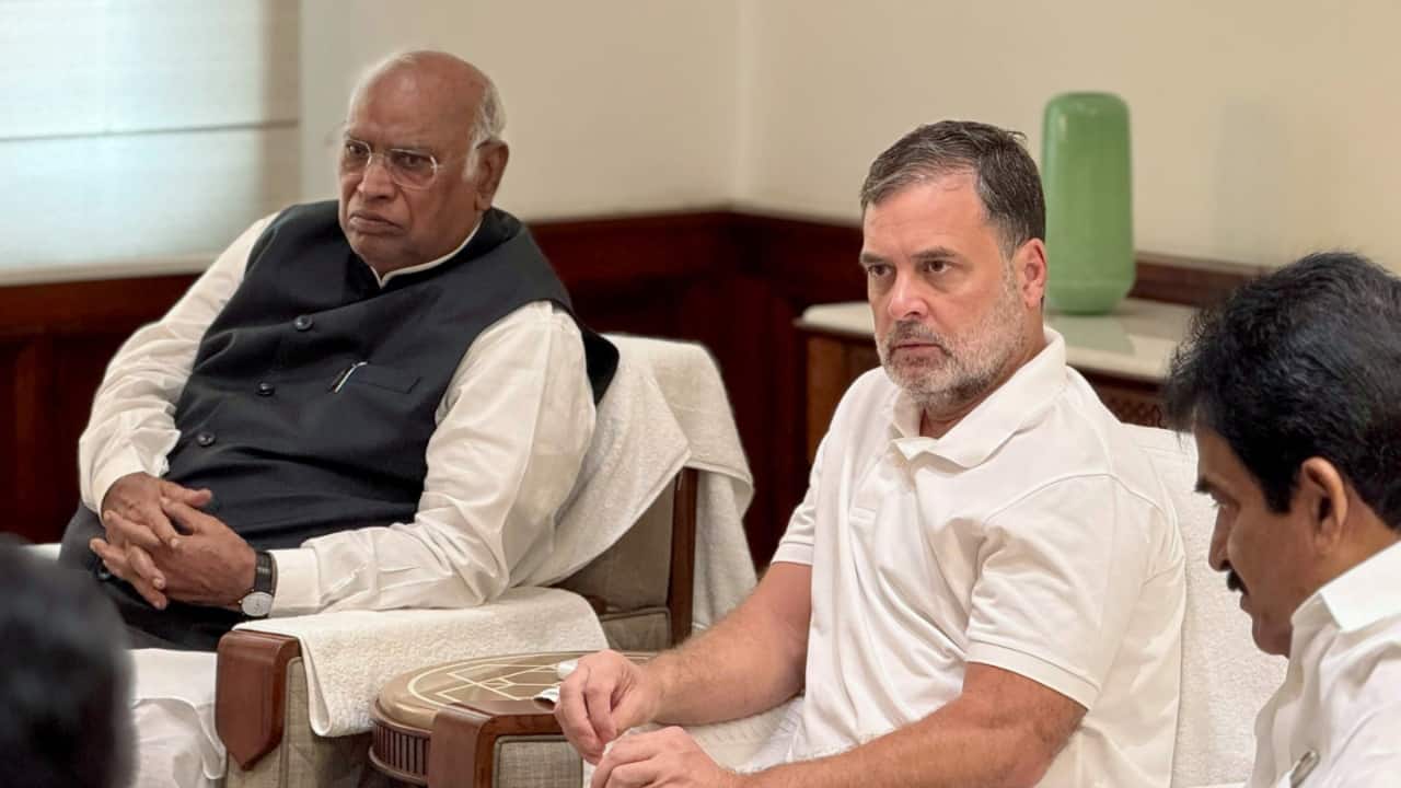 `Jhooth ki goonj`: BJP hits back at Rahul Gandhi, Kharge over Haldwani row