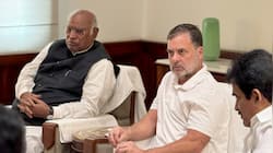 'Jhooth ki goonj': BJP hits back at Rahul Gandhi, Kharge over Haldwani row