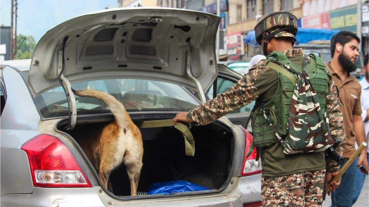 Surprise frisking, checkpoints intensify across Kashmir amid high alert over terror movement