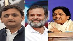 As elephant’s long shadow fades, can Rahul win over UP’s Dalit voters?