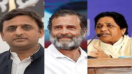 UP Assembly elections 2027: As elephant’s long shadow fades, can Rahul Gandhi win over UP’s Dalit voters?