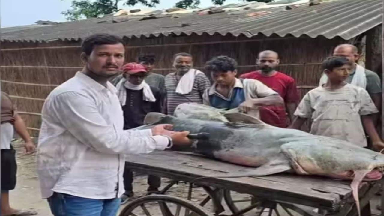 Nepal flash floods hit Bihar: Why authorities say ‘don’t eat these fish’