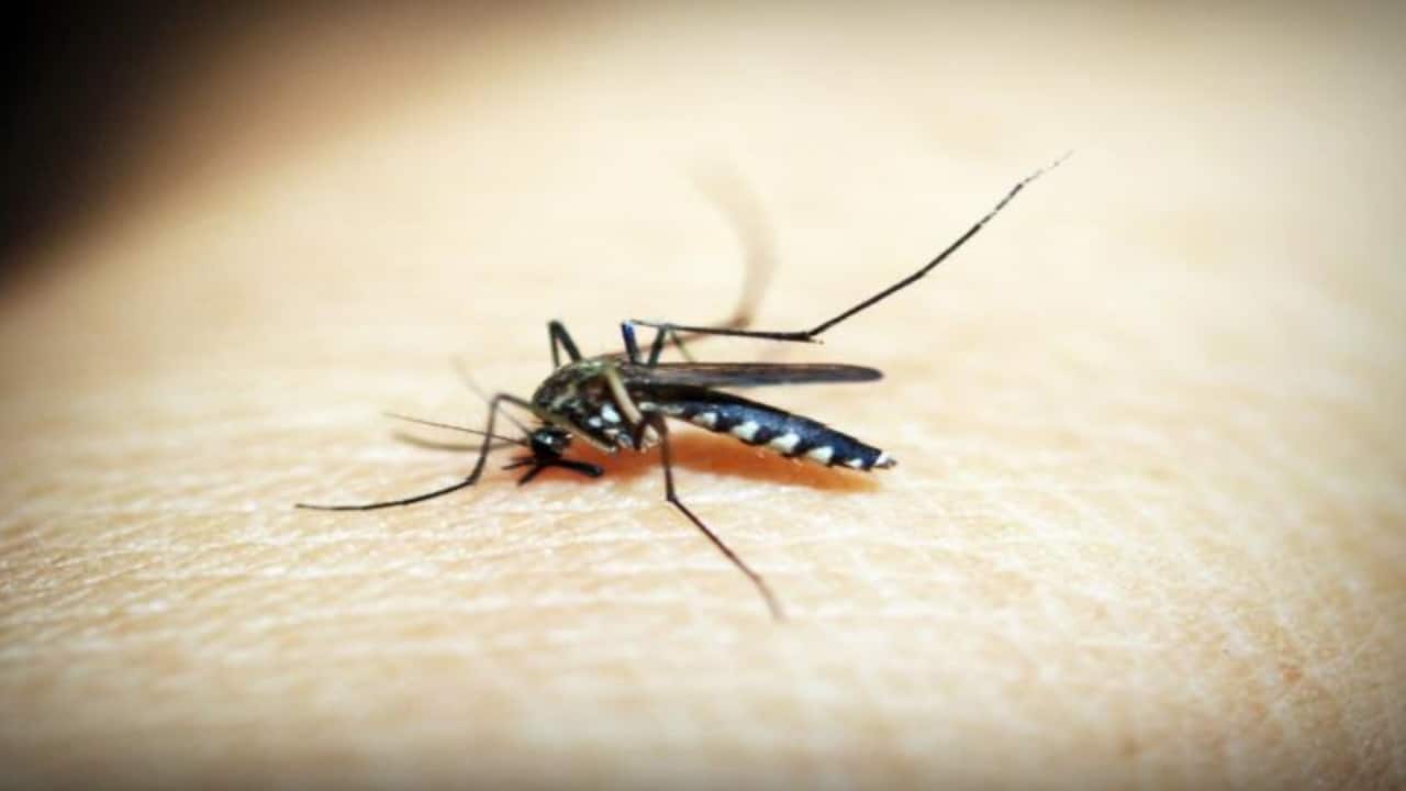 Andhra Pradesh tragedy: 7-year-old girl dead, 47 children hospitalised after anti-malaria pill drive