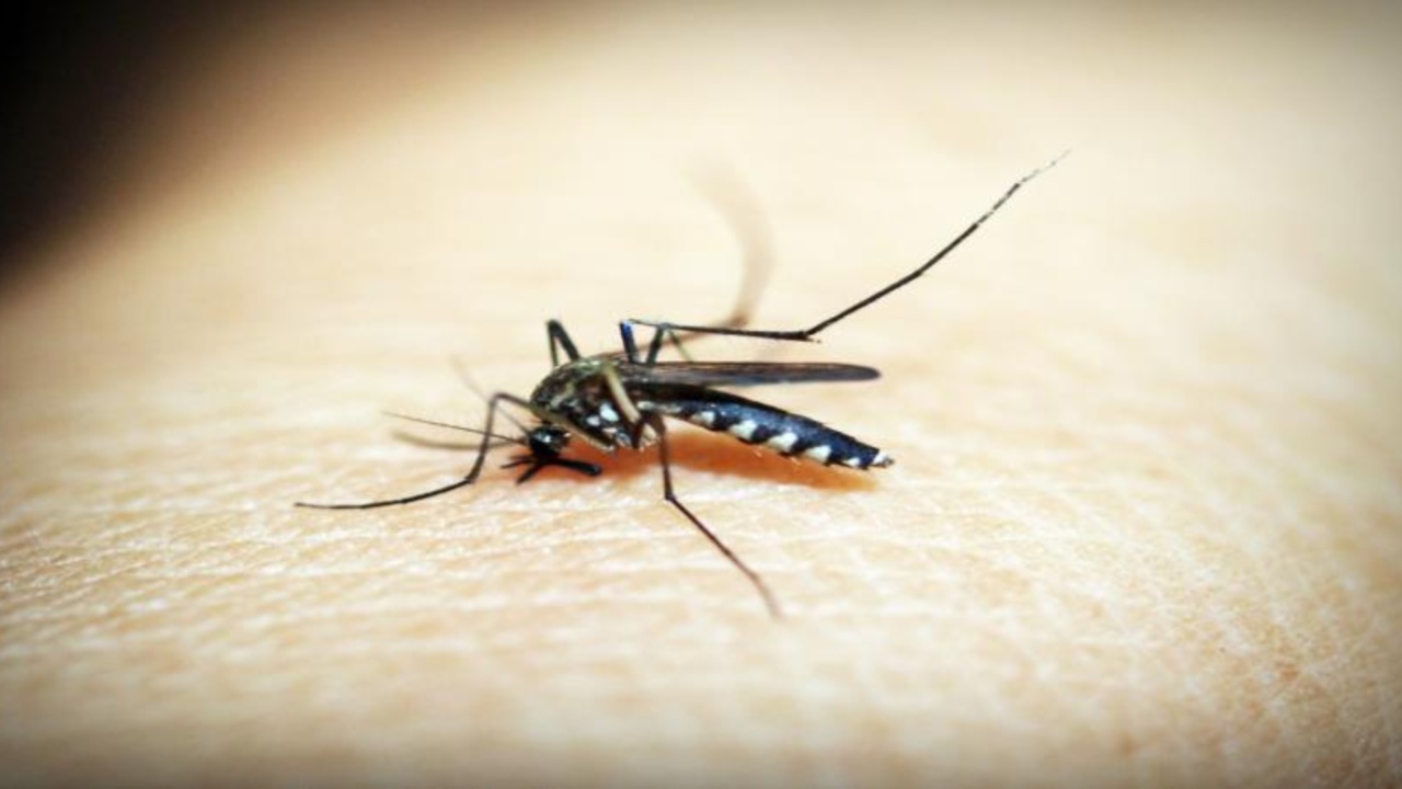 Andhra Pradesh tragedy: 7-year-old girl dead, 47 children hospitalised after anti-malaria pill drive Andhra Pradesh tragedy: 7-year-old girl dead, 47 children hospitalised after anti-malaria pill drive