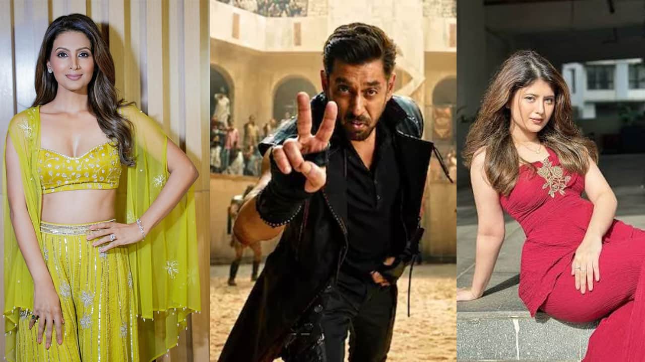 Bigg Boss 20 premiere, expected contestants list: From Salman Khan's staggering Rs 2.5 cr remuneration per episode to Rs 120 cr per season